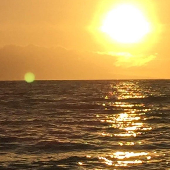 Meet your Posher, Alexa - Picture 1 of 1